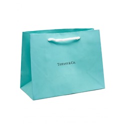 Подарочный пакет Tiffany & Co 25x12x19 см