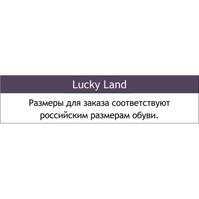 Мужские сабо Lucky Land