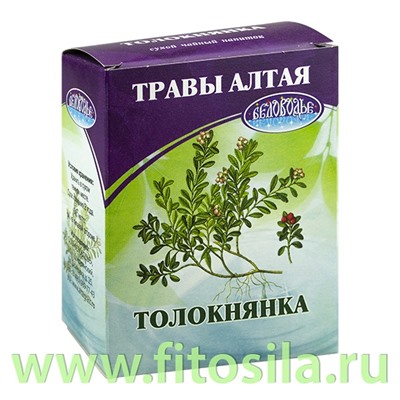 Толокнянка, лист, 50 г, коробочка, чайный напиток