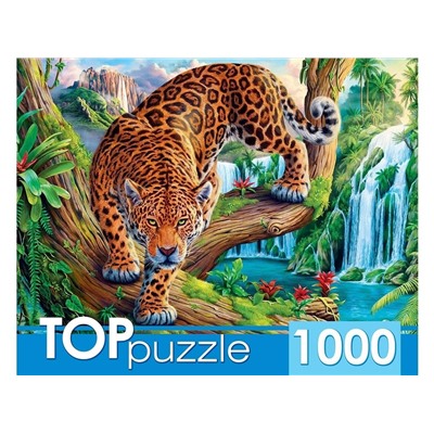TOPpuzzle ПАЗЛЫ 1000 элементов