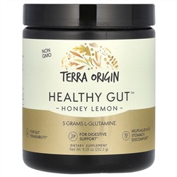 Terra Origin, Healthy Gut, добавка для здоровья кишечника, со вкусом меда и лимона, 232,2 г (8,19 унции)