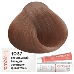 Крем-краска для волос AMBIENT 1037, Tefia