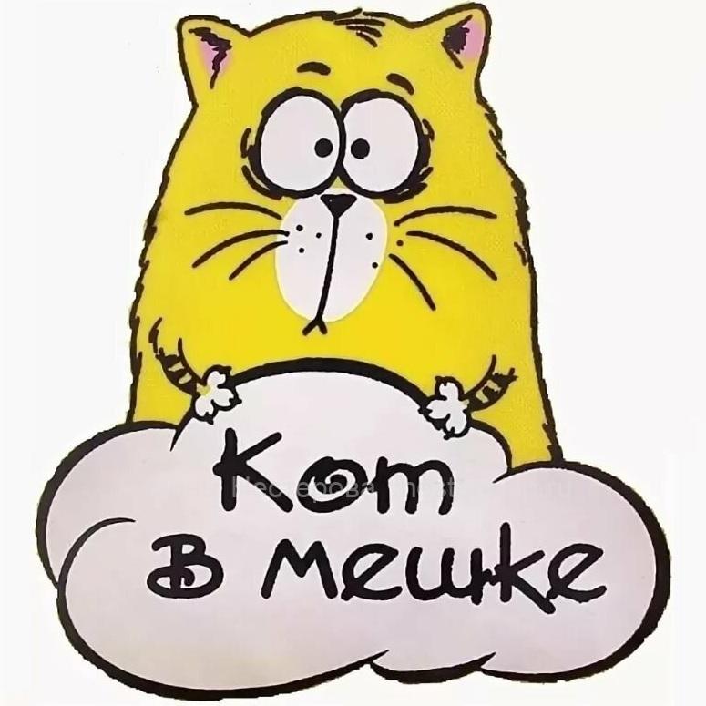 Акция «Кот в мешке» » Камышин - Официальный сайт Администрации городского округа