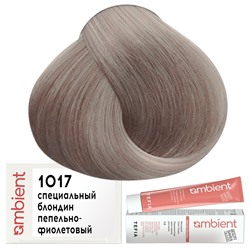 Крем-краска для волос AMBIENT 1017, Tefia