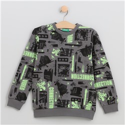 Sweatshirt - 100% Baumwolle - bedruckt - grau