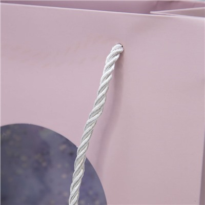 Пакет подарочный (S) "Shiny wind", pink (24.5*19.5*9.5)