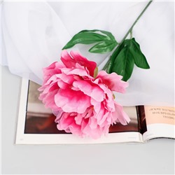 Цветы искусственные "Пион бархатный" 15х55 см, розовый