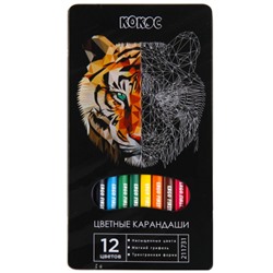 Карандаши цветные 12 цветов, дерево чёрное, трехгранный Wild Tiger ERGO First КОКОС 211731