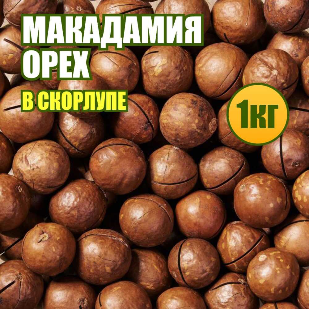 Макадамия орех в скорлупе 1 кг. купить, отзывы, фото, доставка - КАПУСТА │  Совместные покупки Краснодар, Краснодарский край, Новокузнецк, Новосибирск,