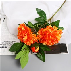 Цветы искусственные "Пион снежный пик" d-14 см 61 см, оранжевый