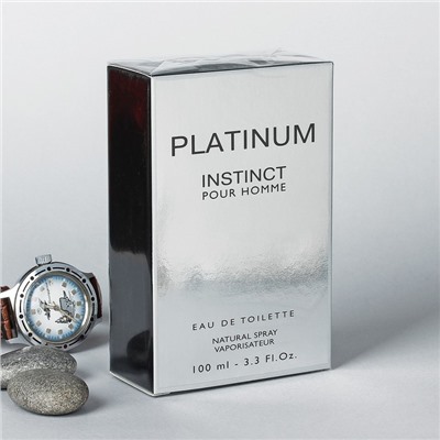Туалетная вода мужская Instinct Platinum, 100 мл (по мотивам Egoiste Platinum (Chanel)