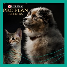 корма супер-премиум класса для кошек и собак Pro Plan