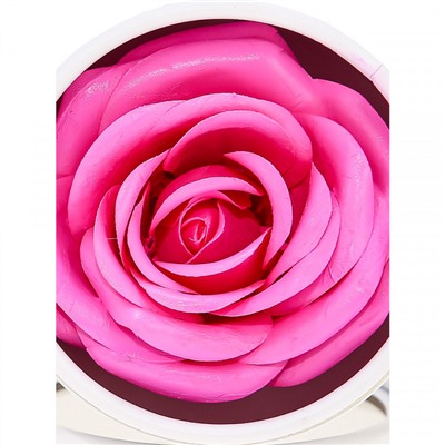 Пудра-румяна Хайлайтер Rosel Cosmetics Glazed Rose 6g R040