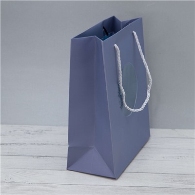 Пакет подарочный (S) "Shiny wind", blue (24.5*19.5*9.5)