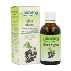 Ribes Nigrum (Ribes Nero)