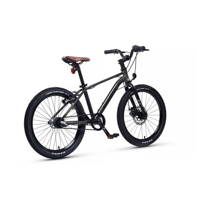 Велосипед 20'' Maxiscoo 7Bike M700, цвет графит