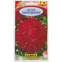 Астра Понте Веккио пионовидная (Код: 6875)