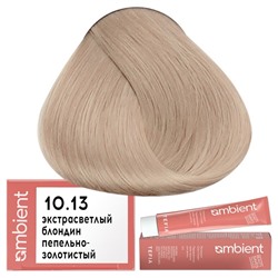 Крем-краска для волос AMBIENT 10.13, Tefia