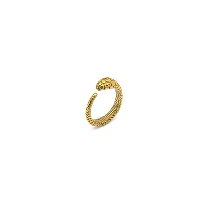 BAND RING SNAKE TEXTURE