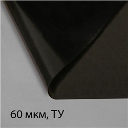 Плёнка полиэтиленовая, техническая, для мульчирования, толщина 60 мкм, 100 × 3 м, рукав (2 × 1,5 м), чёрная, 2 сорт, Эконом 50 %